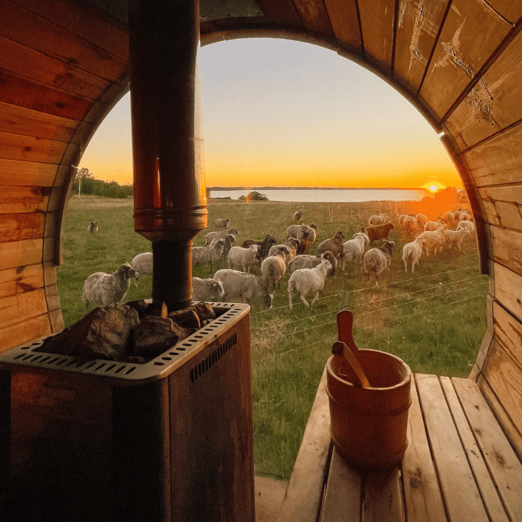 Udsigt til solnedgang i den mobile sauna fra mobilsauna.dk